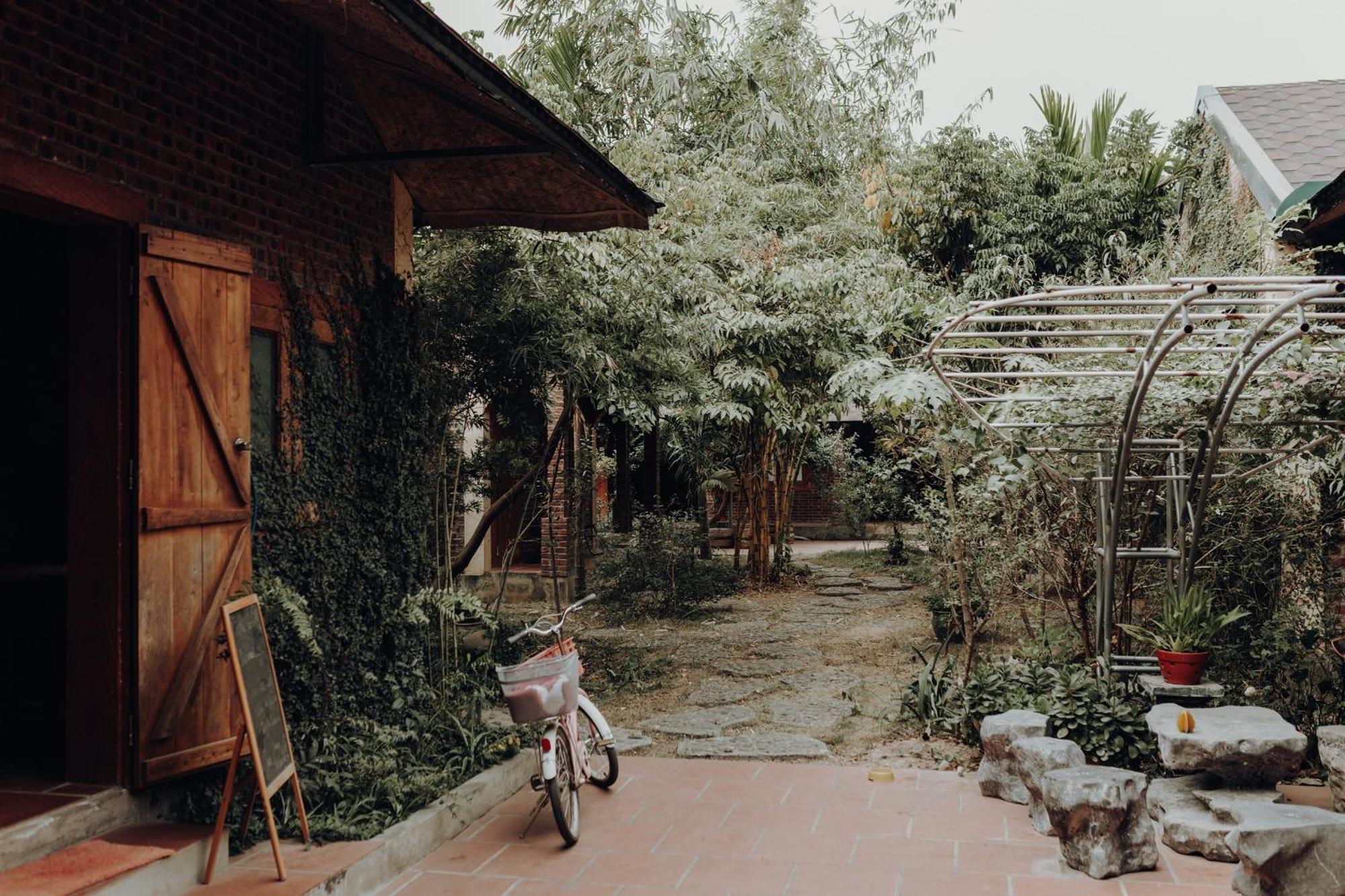 Ninh Binh Palm Homestay المظهر الخارجي الصورة