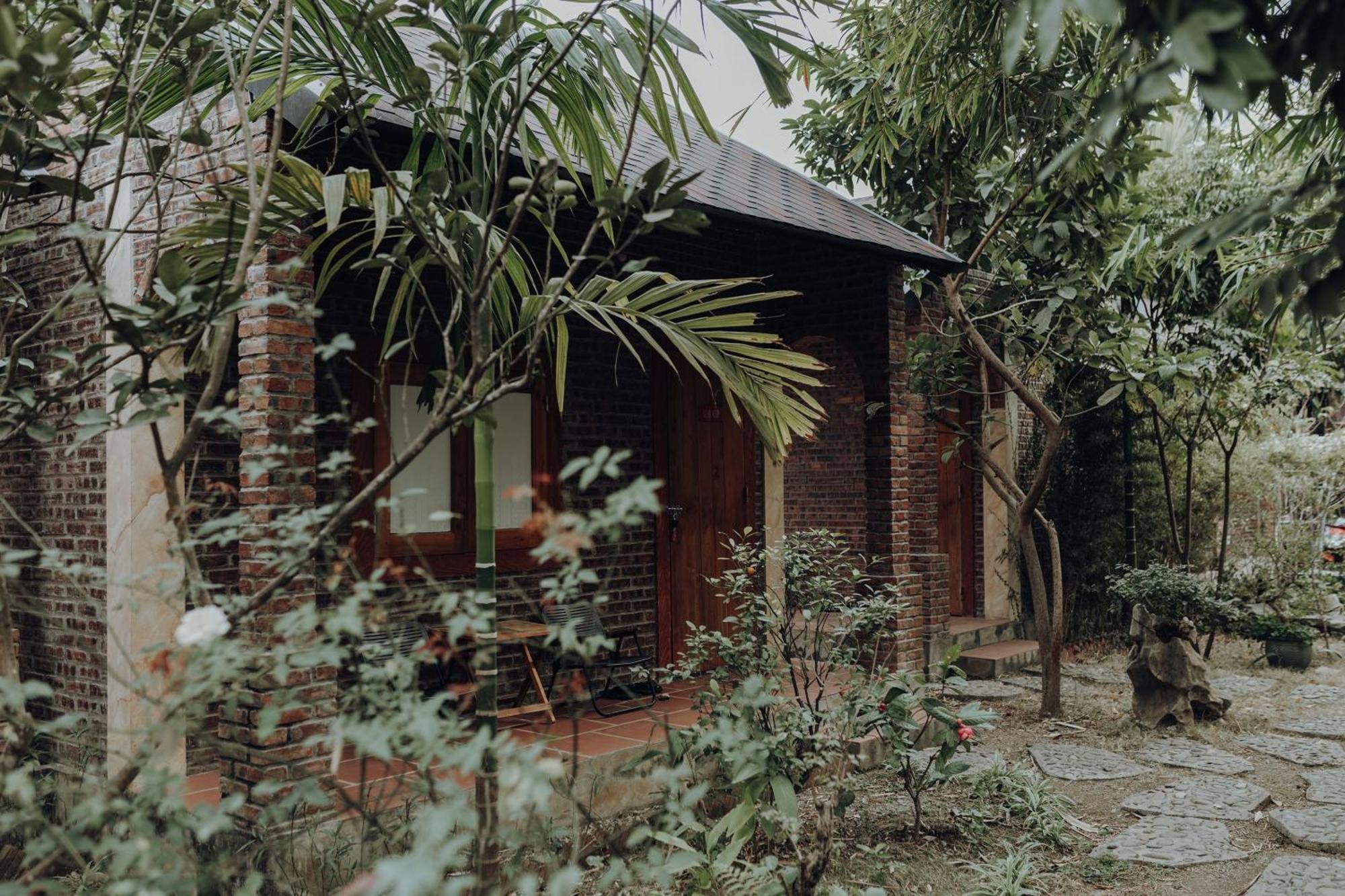 Ninh Binh Palm Homestay المظهر الخارجي الصورة