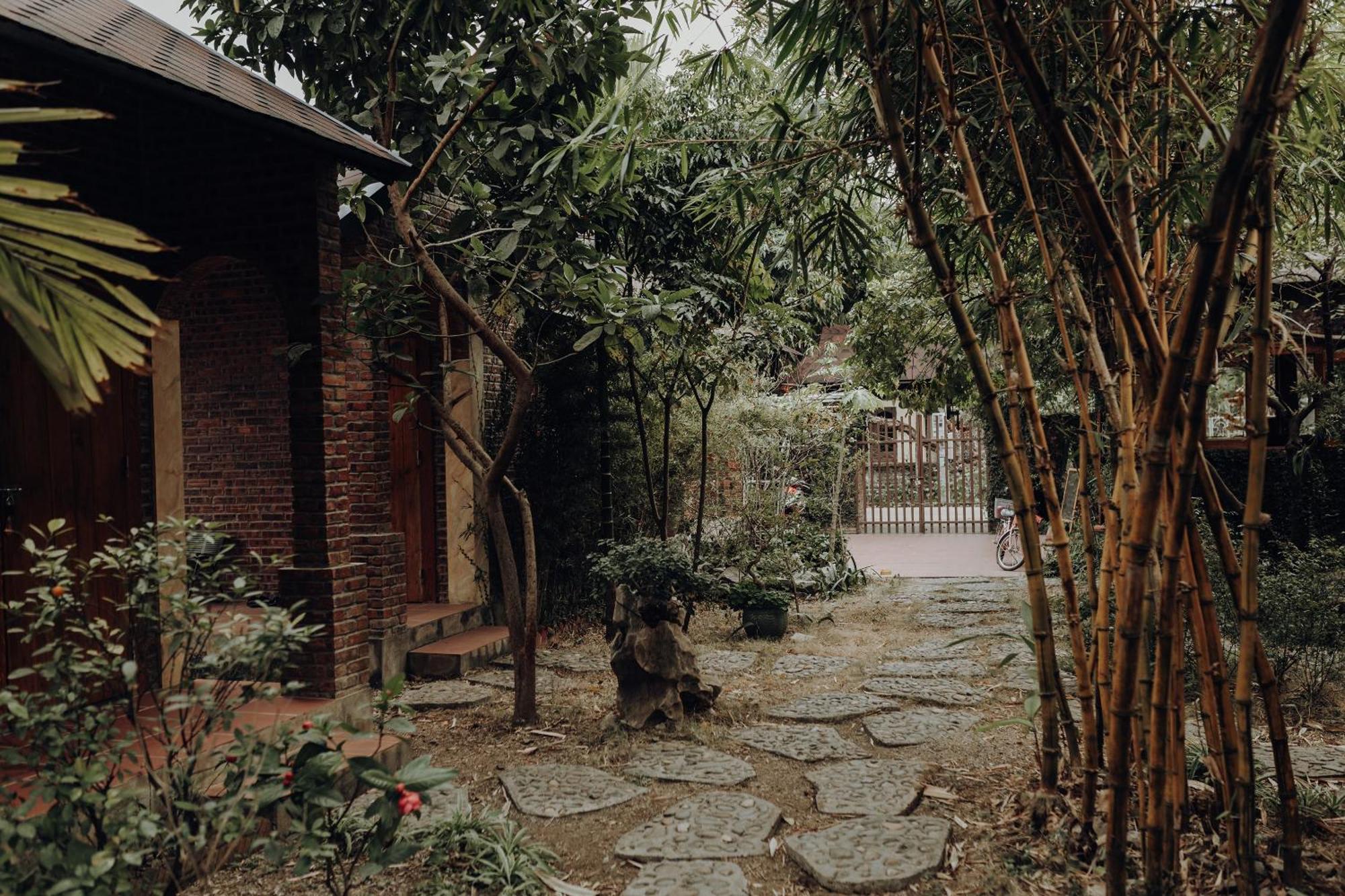 Ninh Binh Palm Homestay المظهر الخارجي الصورة