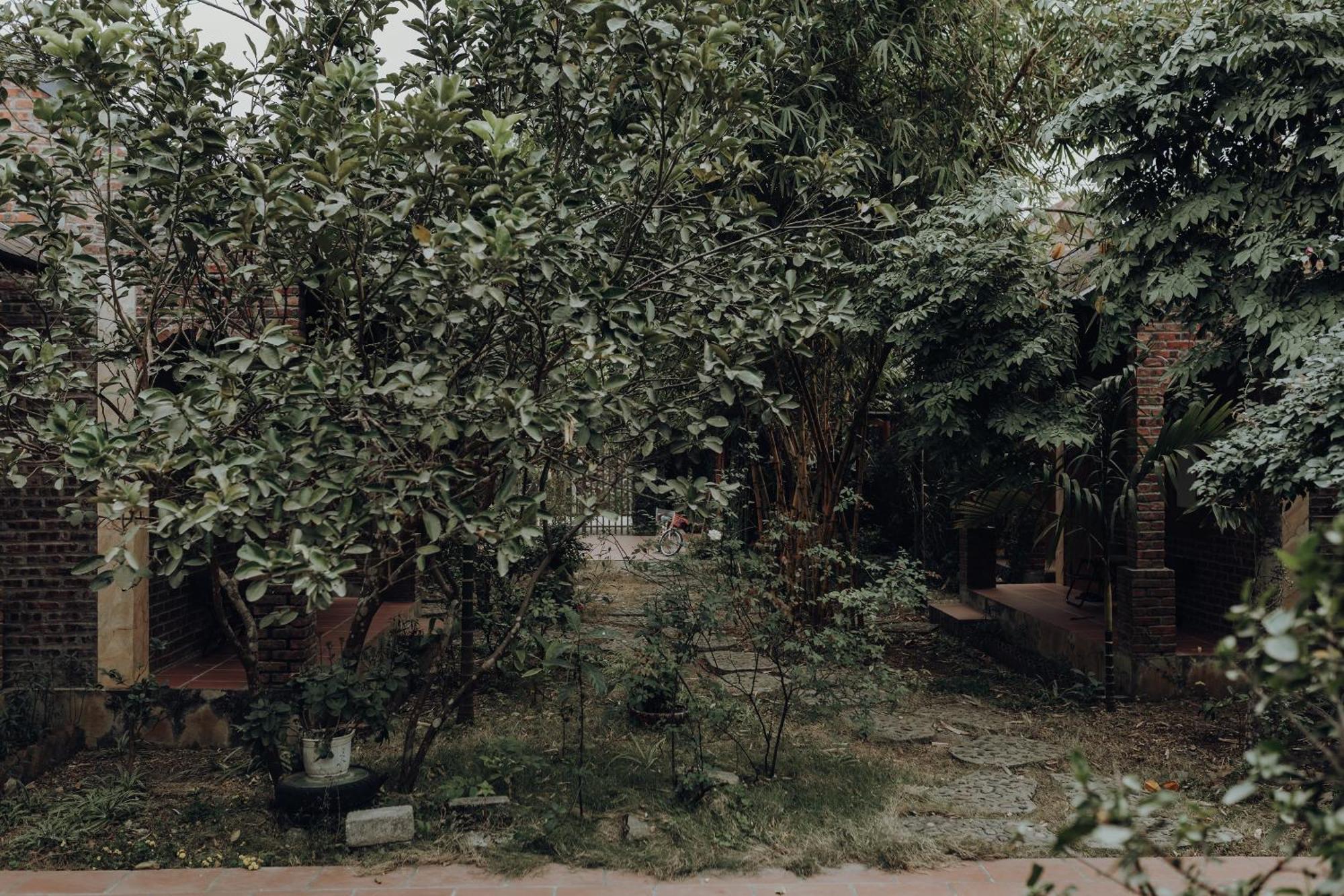 Ninh Binh Palm Homestay المظهر الخارجي الصورة