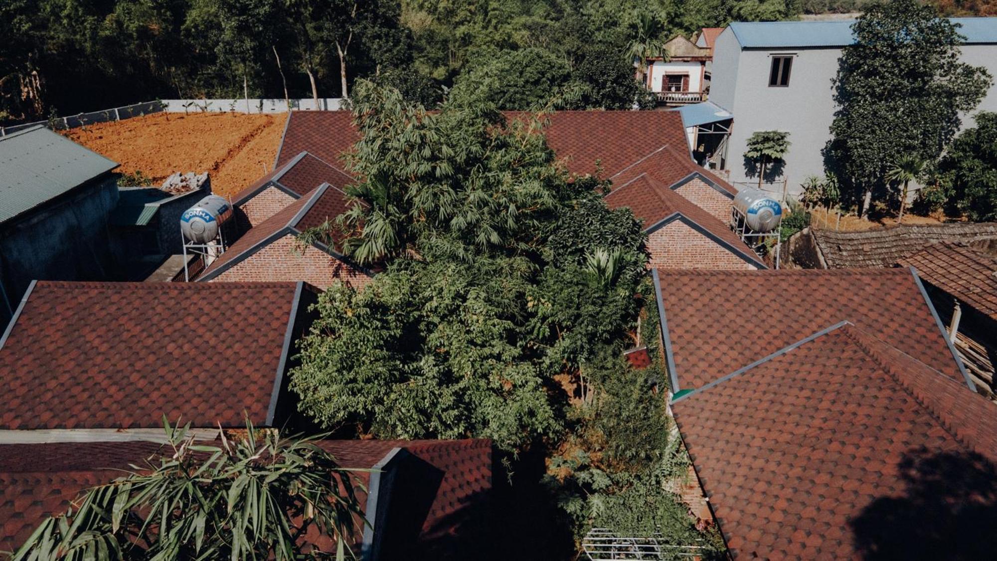Ninh Binh Palm Homestay المظهر الخارجي الصورة